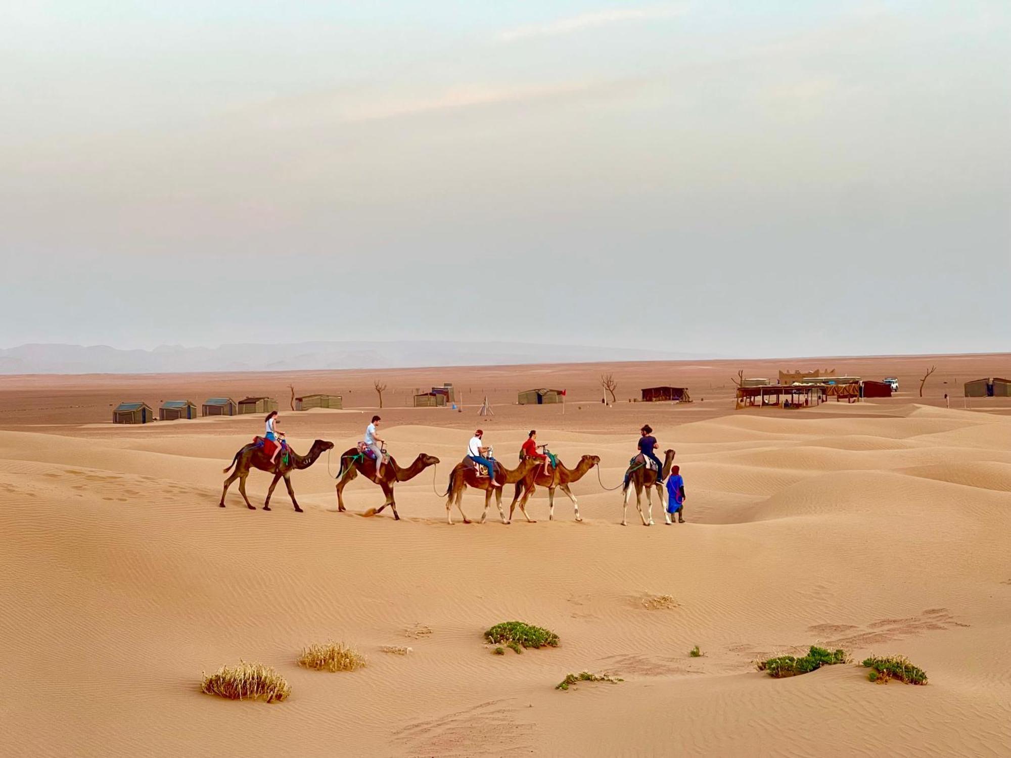 Mhamid Sahara Camp Activities - Le Chant Du Sable M'Hamid Exteriör bild